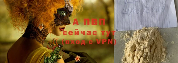 тгк Абаза