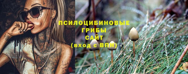 экстази Алексин