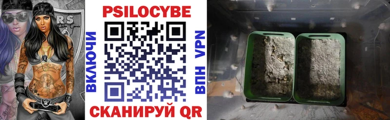 Псилоцибиновые грибы Psilocybe  Чулым 